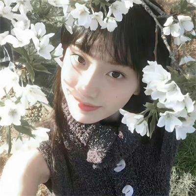 混沌行走